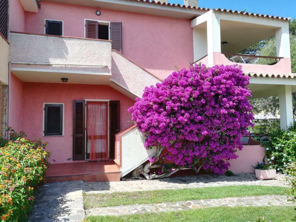 Holiday home Casa Smeralda